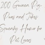 200 Guinea Pig Puns and Jokes Squeaky Humor for Pet Lovers