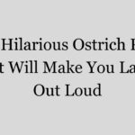 220 Hilarious Ostrich Puns That Will Make You Laugh Out Loud