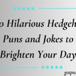 250 Hilarious Hedgehog Puns and Jokes to Brighten Your Day