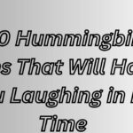 250 Hummingbird Puns That Will Have You Laughing in No Time