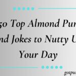 250 Top Almond Puns and Jokes to Nutty Up Your Day