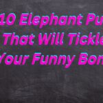 310 Elephant Puns That Will Tickle Your Funny Bone