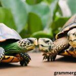 200+ Turtle Puns and Jokes That Are Shell-arious