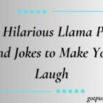 300 Hilarious Llama Puns and Jokes to Make You Laugh